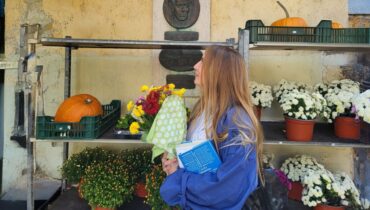 Čongrad, jesenje ruže