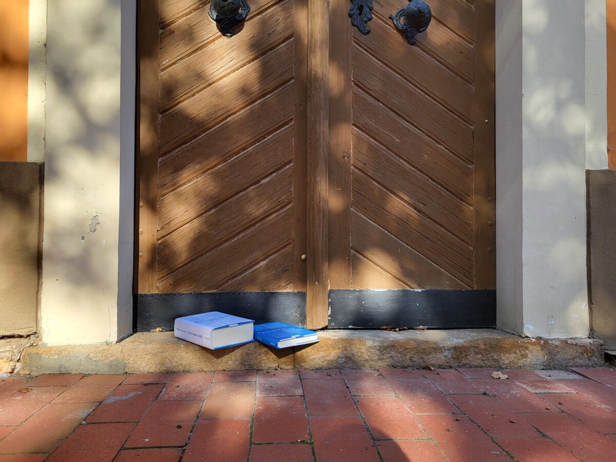 Čongrad, jesenje ruže 4