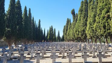 <i>Epitaf na Zejtinliku</i>, Vojislav Ilić Mlađi