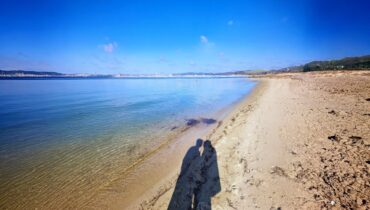 <i>O Kadmu i Harmoniji</i>, Miodrag Mijo Raičević